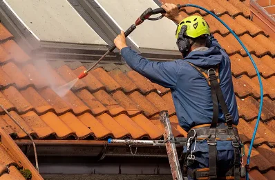 Démoussage et hydrofuge de toiture au Pin-au-Haras